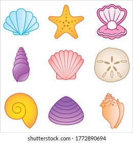 Vector illustration of different types of seashells and marine life, including scallops, sand dollars, conchs, and starfish