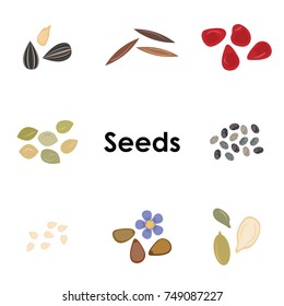 vector illustration of different types of seeds colored icons like flax hemp or pomegranate