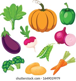 Vector illustration of different vegetables.