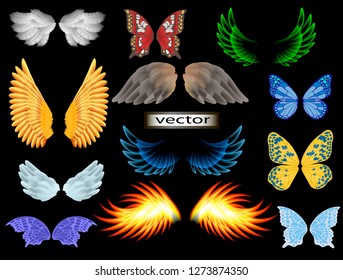 Vector illustration of different wings, angel and fairy, eagle and butterfly fire wings and cool big set