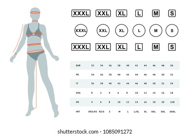Vector illustration of the dimensions of a female body. The dimensions of the female waist, hips, chest, neck, head, arms, legs. Can be used for female linen, clothes, headwear