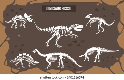 Vektorillustration Illustration des Dinosaurier-Fossils