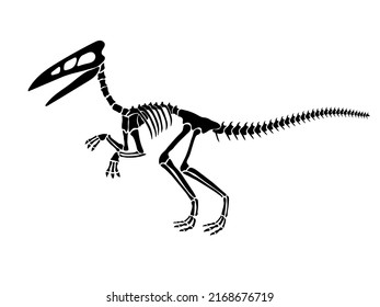 Vector illustration with dinosaur skeleton isolated on a white background. Original design with dinosaur for children. Print for T-shirts, textiles, wrapping papers, webb.