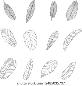 Vector illustration of diverse black leaf vein patterns, showcasing a variety of botanical species. Intricate and detailed designs ideal for graphic backgrounds, floral-themed projects, and naturalist