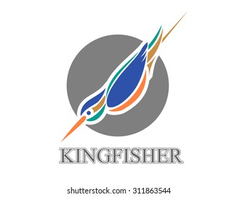 Vector illustration of diving Kingfisher