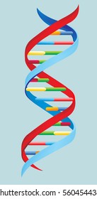 Vector Illustration.  DNA