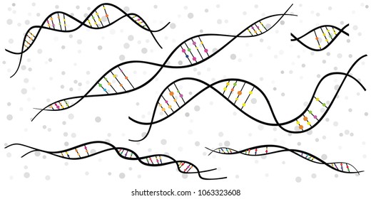 vector illustration of DNA chains with colorful molecules for abstract backgrounds 