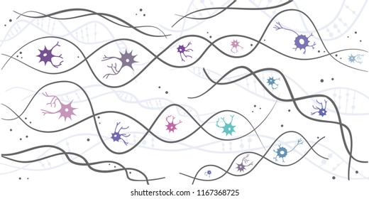 vector illustration of dna chains and neuron cells for neural genetics and character heritage visuals