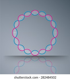 Vector illustration of dna circle strands. science