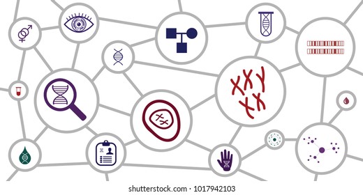 vector illustration of DNA and genomics science scheme for backgrounds and infographics