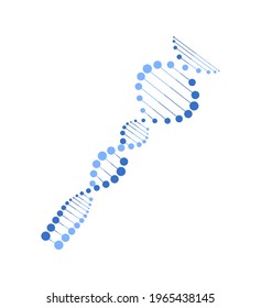 Vector illustration of a dna helix icon on white background