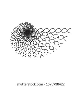 Vector illustration of DNA looking golden ratio