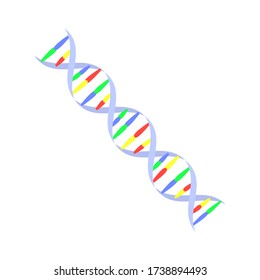 Vector illustration of a DNA macromolecule with an accurate representation of the compounds. Isolated genetic molecule of human organism on white background.