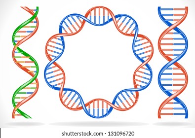 Vector illustration of dna strands. File is saved in AI10 EPS version. This illustration contains a transparency