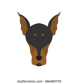 Vector illustration of doberman dog head. Isolated on white background.