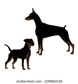 Vector illustration of Doberman dogs. Big dog and her puppy