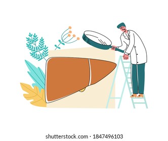 Vector illustration of doctor looking at liver through enlarged magnifying glass. Concept instrumental, laboratory diagnostics of Hepatology, hepatitis, hepatosis, cholecystitis.