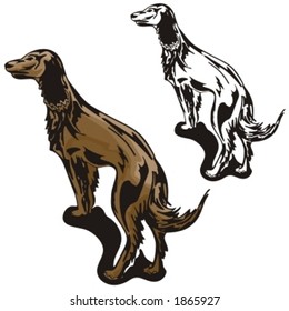 Vector illustration of a dog.