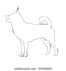 Vector illustration a dog. 