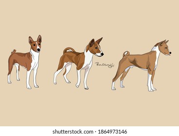 Vector Illustration of Dog, Basenji