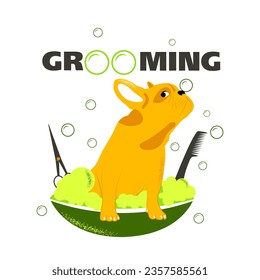 Vector illustration of a dog bathing in a basin on a white background. Soap bubbles and foam all around. The inscription "grooming". Comb and scissors on the sides. Grooming salon logo