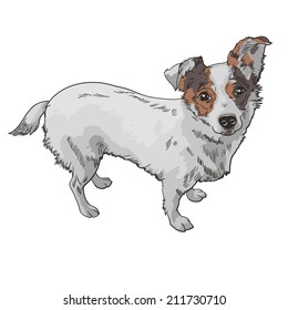 Vector illustration of the dog. Black and white