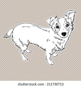 Vector illustration of the dog. Black and white