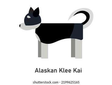 Vector illustration of a dog breed Alaskan Klee Kai