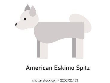 Vector illustration of a dog breed American Eskimo Spitz