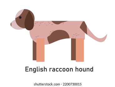 Vector Illustration Of A Dog Breed English Raccoon Hound