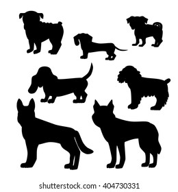 Vector illustration of dog breed set in flat style. 
