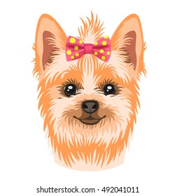 Vector illustration of a dog breed Yorkshire terrier decorated with a bow on her head