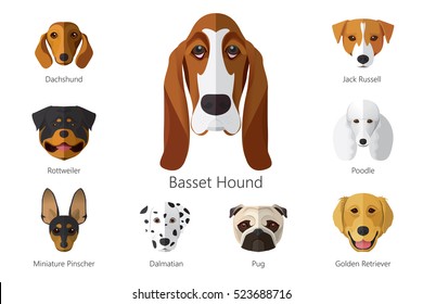 Vector illustration of dog breeds isolated on white background.
