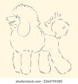 Vector illustration of a dog breeds Poodle in total growth with an inscription. Gray stylized sloppy 
graphic hand drawn drawing, isolated object, sketch on a beige background.