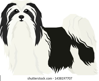 Vector illustration Dog collection Havanese Dog Geometric style Isolated object set