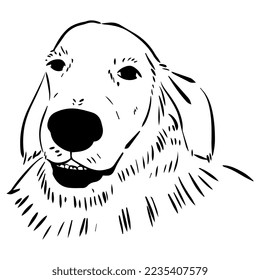 Vector illustration. Dog coloring page. Golden retriever.