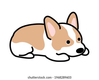 Vector illustration of a dog. Corgi.