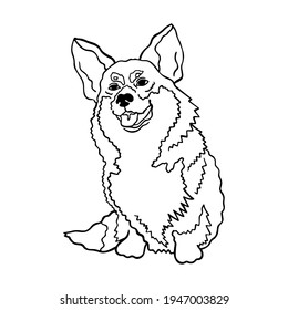 Vector illustration of a dog corgi breed. A cute kind dog sits with his tongue out. Line art contour drawing, dog silhouette isolated on white background. 