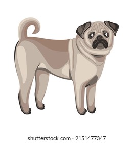 Vector illustration of a dog. Cute doodle pug