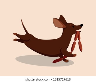 vector illustration dog dachshund sausages