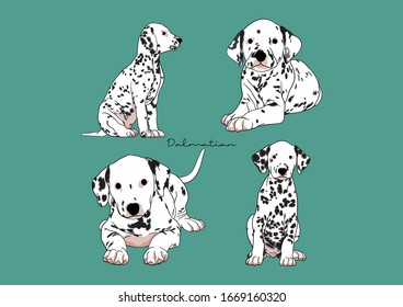 Vector Illustration of Dog, Dalmatian