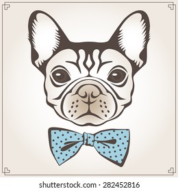 Vector illustration of the dog with dotted bow tie