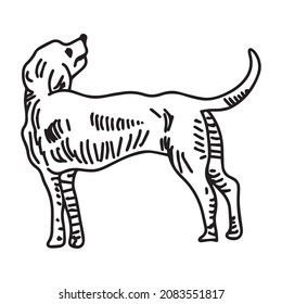 vector illustration of dog graphic design, art tattoo sketch, draw by hand, use in print