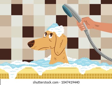 Vector illustration of a dog inside the bathtub, with an angry face, because his owner is bathing him. Cartoon style.