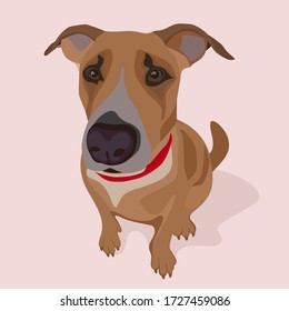 Vector Illustration. Dog isolated. Flat design.