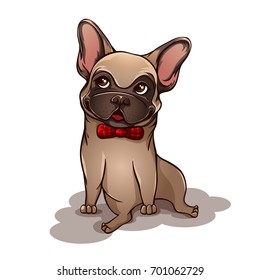 Vector illustration of dog isolated on a white background. Naughty pug. The character of the French bulldog.