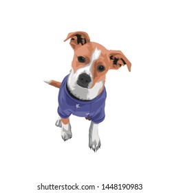 Vector Illustration Dog Jack Russell Terrier puppy isolated Dog wearing a blue shirt with white background - Vector