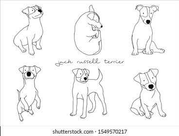 Vector Illustration of Dog, Jack Russell Terrier