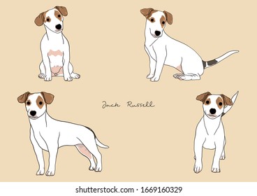 Vector Illustration of Dog, Jack Russell Terrier