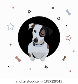 vector illustration of a dog jack russell terrier in flat style with stars, circles ans bones
